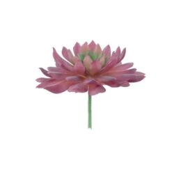 Flora Bunda® Red Succulent Pick, 6ct. -Flowers Michael Store D581960S 2