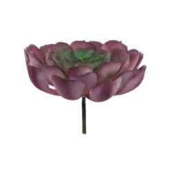 Flora Bunda® Red Large Echeveria Powder Succulent Pick, 6ct. -Flowers Michael Store D581961S 2