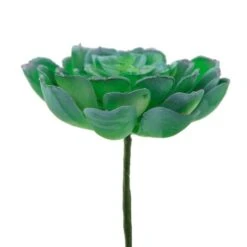 Flora Bunda® Large Echeveria Powder Succulent Pick, 6ct. -Flowers Michael Store D581962S 2