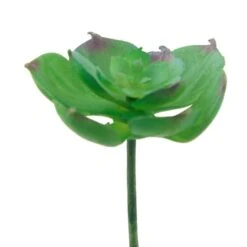 Flora Bunda® Small Echeveria Afterglow Succulent Pick, 12ct. -Flowers Michael Store D581963S 2