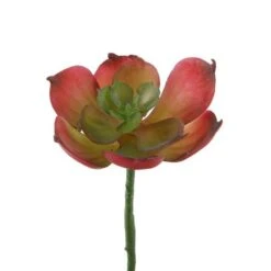 Flora Bunda® Red Small Echeveria Afterglow Succulent Pick, 12ct. -Flowers Michael Store D581964S 1 1