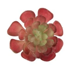 Flora Bunda® Red Small Echeveria Succulent Pick, 12ct.
