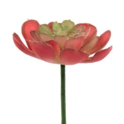 Flora Bunda® Red Small Echeveria Succulent Pick, 12ct. -Flowers Michael Store D581965S 2