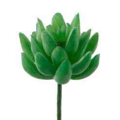 Flora Bunda® Green Small Little Gem Succulent Pick, 12ct. -Flowers Michael Store D581966S 1 1