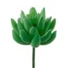 Flora Bunda® Green Small Little Gem Succulent Pick, 12ct. -Flowers Michael Store D581966S 1