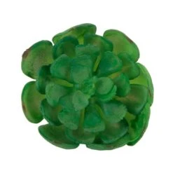 Flora Bunda® Small Echeveria Succulent Pick, 12ct. -Flowers Michael Store D581967S 1 1