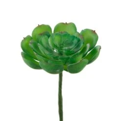 Flora Bunda® Small Echeveria Succulent Pick, 12ct. -Flowers Michael Store D581967S 2