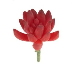 Flora Bunda® Red Small Little Gem Succulent Pick, 12ct. -Flowers Michael Store D581968S 1 1