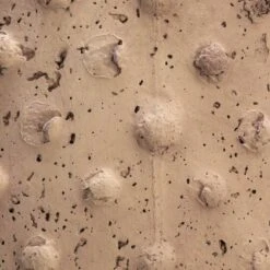 Hello Honey® 7'' Distressed Finish Sandstone Hobnail Planter 29 Hello Honey® 7'' Distressed Finish Sandstone Hobnail Planter -Flowers Michael Store D587999S 25