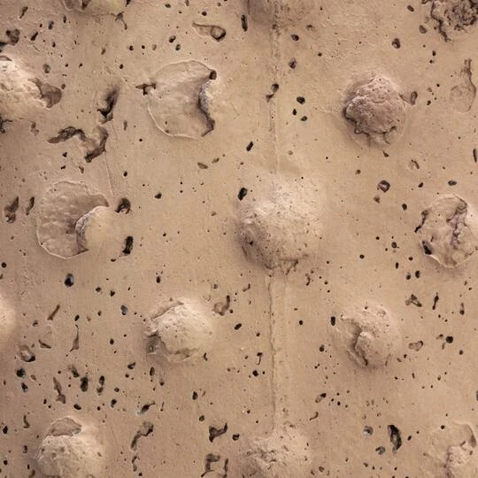 Hello Honey® 7'' Distressed Finish Sandstone Hobnail Planter 14 Hello Honey® 7'' Distressed Finish Sandstone Hobnail Planter - Image 12