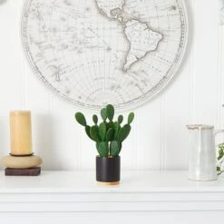 10'' Cactus Succulent Artificial Plant In Planter 10 10'' Cactus Succulent Artificial Plant In Planter -Flowers Michael Store D590116S 3