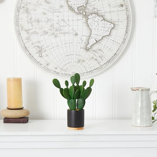 10'' Cactus Succulent Artificial Plant In Planter 6 10'' Cactus Succulent Artificial Plant In Planter - Image 4