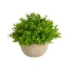 5'' Boxwood Artificial Plant In Decorative Planter 1 5'' Boxwood Artificial Plant In Decorative Planter -Flowers Michael Store D590118S 1