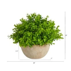 5'' Boxwood Artificial Plant In Decorative Planter -Flowers Michael Store D590118S 2