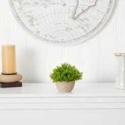 5'' Boxwood Artificial Plant In Decorative Planter -Flowers Michael Store D590118S 3