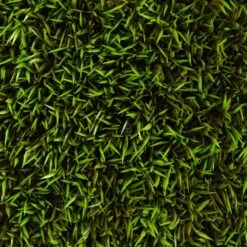 Mini Plum Pine Artificial Wall Mat, 6ct. 14 Mini Plum Pine Artificial Wall Mat, 6ct. -Flowers Michael Store D590127S 14