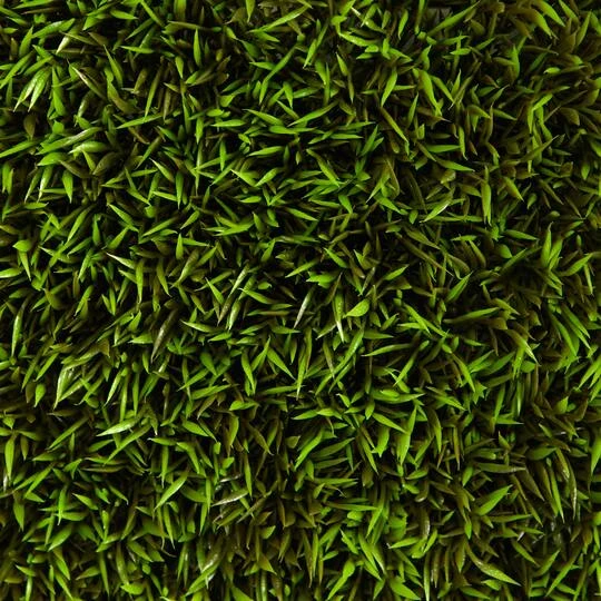 Mini Plum Pine Artificial Wall Mat, 6ct. 7 Mini Plum Pine Artificial Wall Mat, 6ct. - Image 5