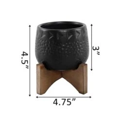 Flora Bunda 3.5" Matte Black Caveman Ceramic On Stand -Flowers Michael Store D599999S 2