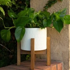 Flora Bunda 8" Matte White Diamond Ceramic Pot On Wood Stand -Flowers Michael Store D600011S 3