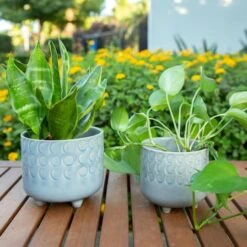 Flora Bunda® Glass Blue Small Moon Phase Footed Planter Set -Flowers Michael Store D600014S 3