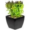 Northlight 6" Potted Green Succulent Arrangement -Flowers Michael Store D602891S 1