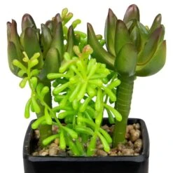 Northlight 6" Potted Green Succulent Arrangement -Flowers Michael Store D602891S 3