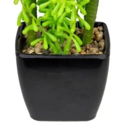 Northlight 6" Potted Green Succulent Arrangement -Flowers Michael Store D602891S 4