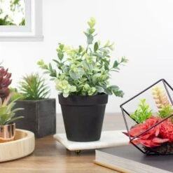 Northlight 10" Green Chinaberry Plant In Black Pot -Flowers Michael Store D602892S 2