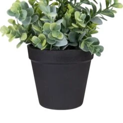 Northlight 10" Green Chinaberry Plant In Black Pot -Flowers Michael Store D602892S 3