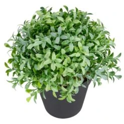 Northlight 7.5" Potted Green Boxwood Plant -Flowers Michael Store D602893S 3