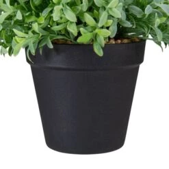 Northlight 7.5" Potted Green Boxwood Plant -Flowers Michael Store D602893S 5