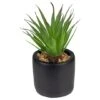 Northlight 7" Green Sword Grass In Black Pot -Flowers Michael Store D602894S 1