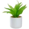 Northlight 8" Green Aloe Plant In White Pot -Flowers Michael Store D602896S 1
