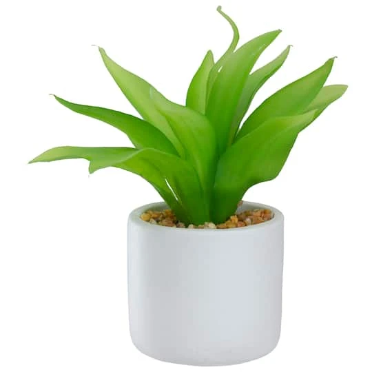 Northlight 8" Green Aloe Plant In White Pot 3 Northlight 8" Green Aloe Plant In White Pot