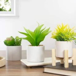 Northlight 8" Green Aloe Plant In White Pot 9 Northlight 8" Green Aloe Plant In White Pot -Flowers Michael Store D602896S 2