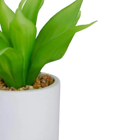 Northlight 8" Green Aloe Plant In White Pot 7 Northlight 8" Green Aloe Plant In White Pot - Image 5