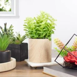 Northlight 10" Green Privet Plant In Faux Wood Pot -Flowers Michael Store D602897S 2