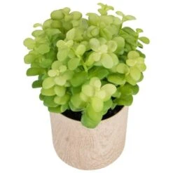 Northlight 10" Green Privet Plant In Faux Wood Pot -Flowers Michael Store D602897S 5