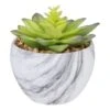 Northlight 4" Green & Purple Succulent In Faux Marble Pot -Flowers Michael Store D602901S 1