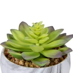 Northlight 4" Green & Purple Succulent In Faux Marble Pot -Flowers Michael Store D602901S 4