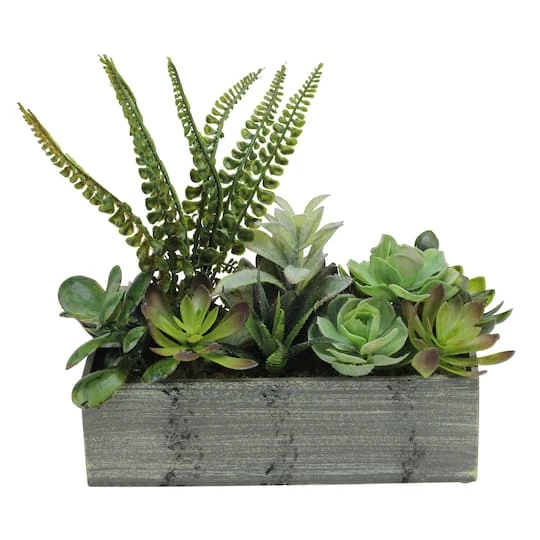 Northlight 11.75" Mixed Succulent Plants In Rectangular Planter 4 Northlight 11.75" Mixed Succulent Plants In Rectangular Planter - Image 2