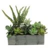 Northlight 11.75" Mixed Succulent Plants In Rectangular Planter -Flowers Michael Store D602905S 1