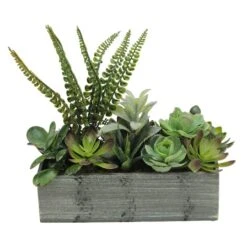 Northlight 11.75" Mixed Succulent Plants In Rectangular Planter