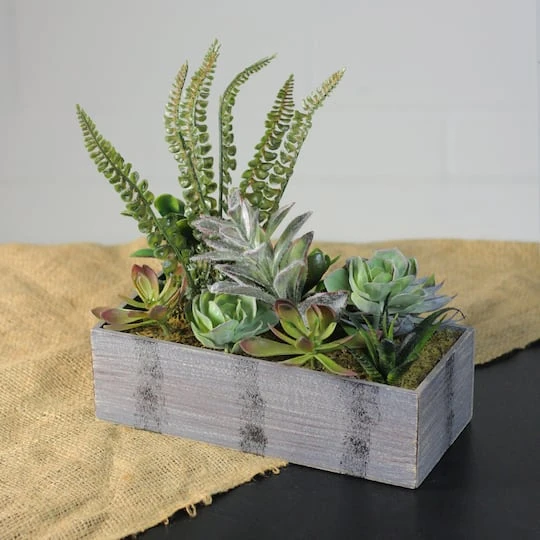 Northlight 11.75" Mixed Succulent Plants In Rectangular Planter 5 Northlight 11.75" Mixed Succulent Plants In Rectangular Planter - Image 3