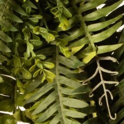 35" Green Fern Wreath 11 35" Green Fern Wreath -Flowers Michael Store D625765S 4