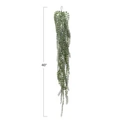 Hello Honey® Hello Honey Green String Of Pearls Plant -Flowers Michael Store D715454S 1 1