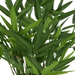 13" Green Faux Foliage Artificial Plant With Black Pot -Flowers Michael Store D760290S 5