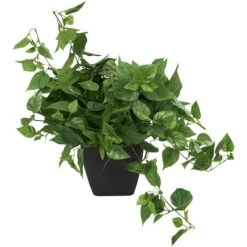 16" Green Pothos Artificial Plant With Black Plastic Pot -Flowers Michael Store D762323S 4
