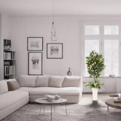 6ft. Artificial Lemon Tree In White Decorative Pot -Flowers Michael Store D763730S 2