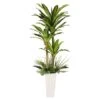6ft. Artificial Dracaena Fragrans Tree In White Decorative Pot 1 6ft. Artificial Dracaena Fragrans Tree In White Decorative Pot -Flowers Michael Store D763734S 1